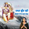 About Radha Dhund Rahi Kisi Ne Mera Shyam Dekha Song